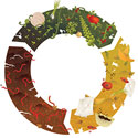Circular Economy: Composting