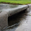 Water and Biodiversity:<br>Stormwater Pollution
