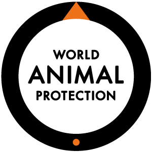 world animal protection