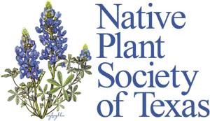 native plant society of texas