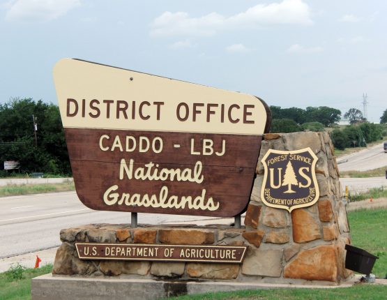 Caddo-LBJ National Grasslands