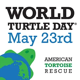 world turtle day